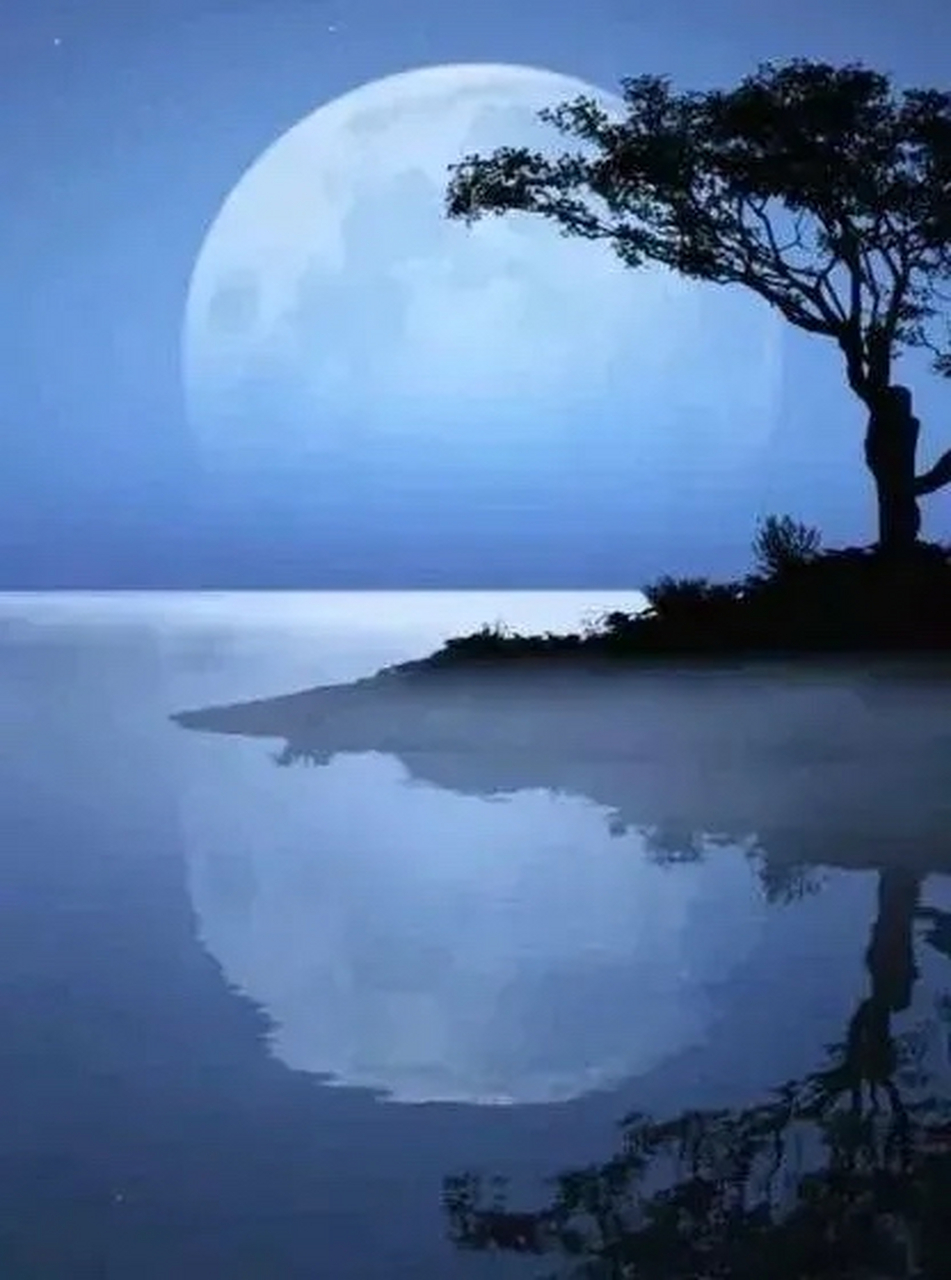 做完这25件事,我突然就不浮躁了: 1,同学聚会,不去.