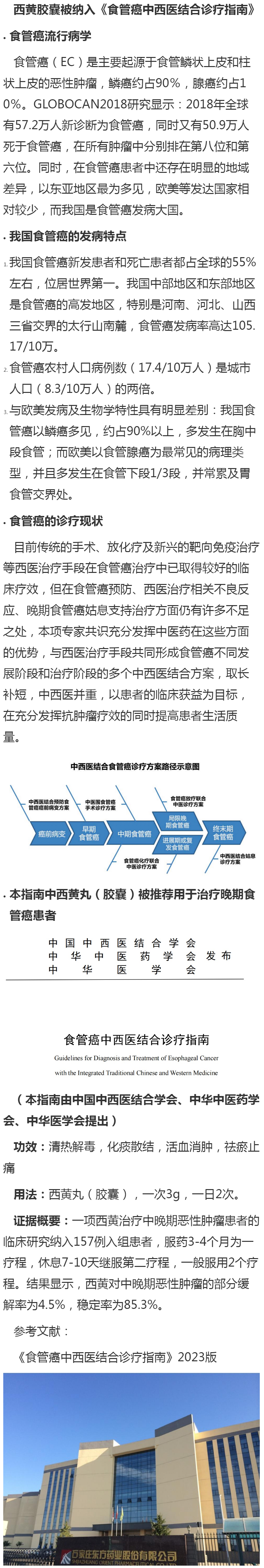 西黃膠囊被納入《食管癌中西醫結合診療指南》