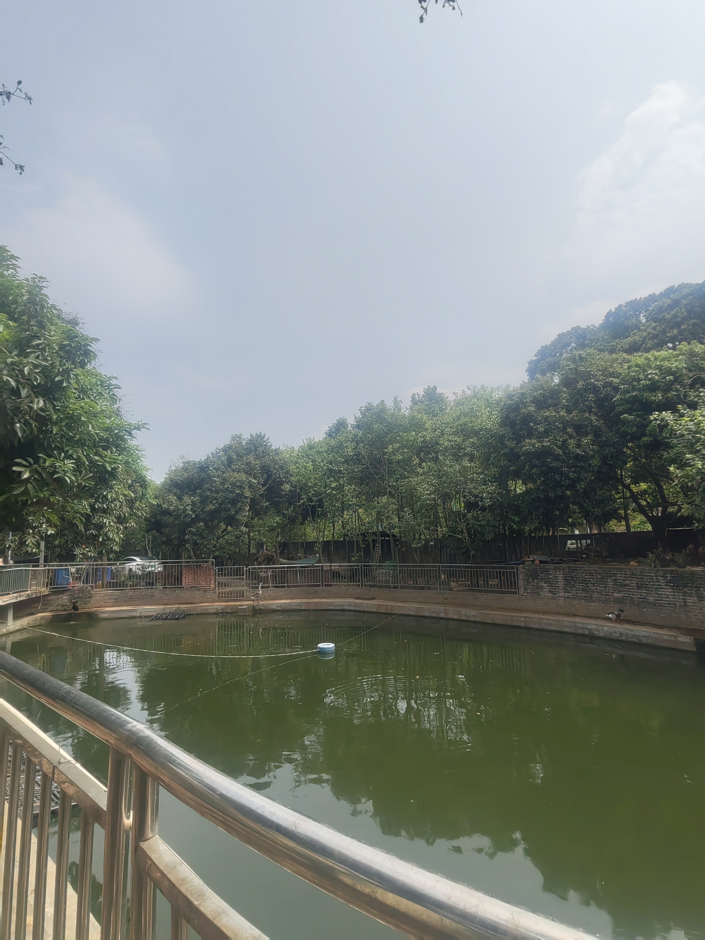 南山西丽,农庄!