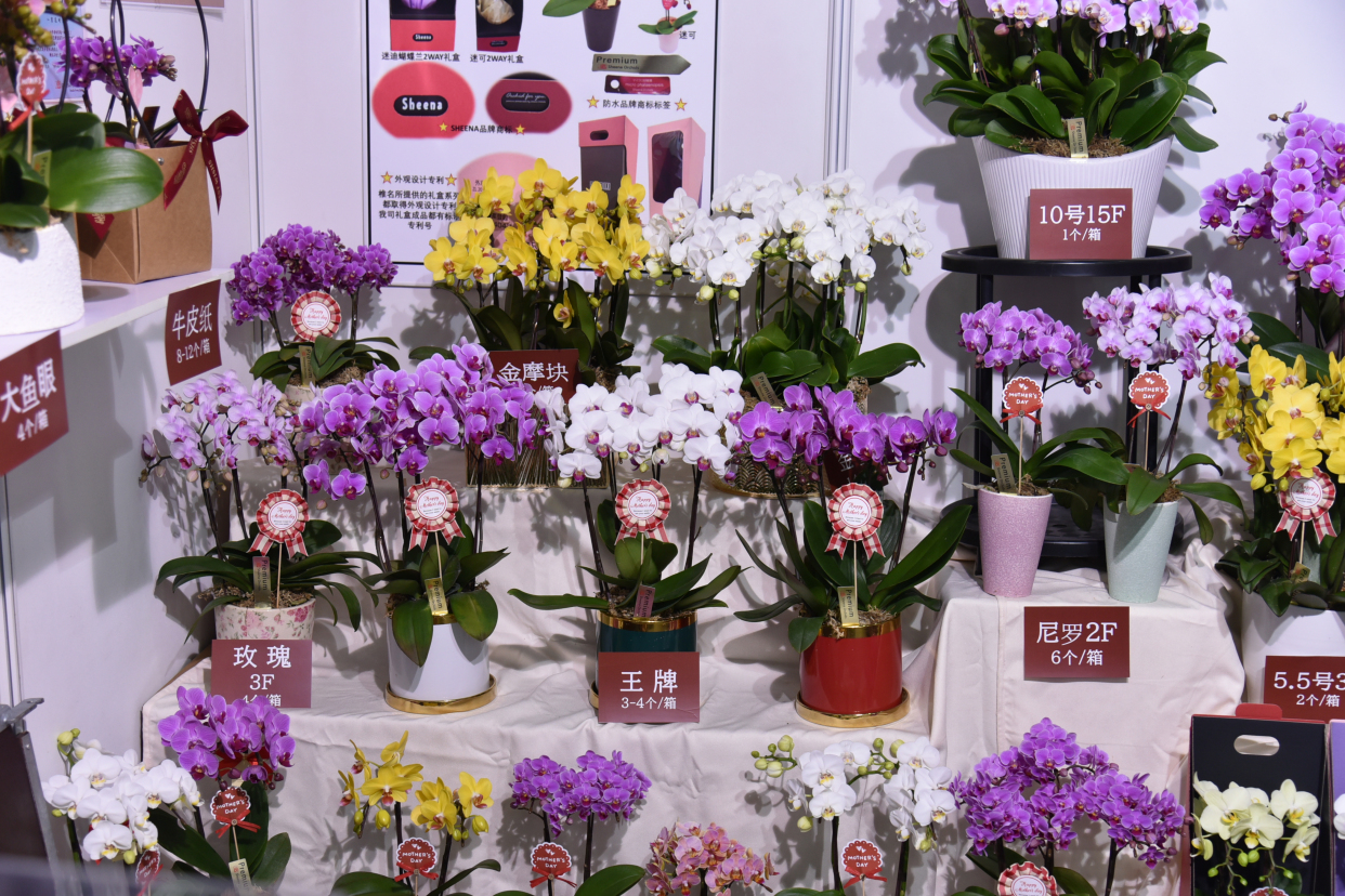 第25届中国国际花卉园艺展览会开幕