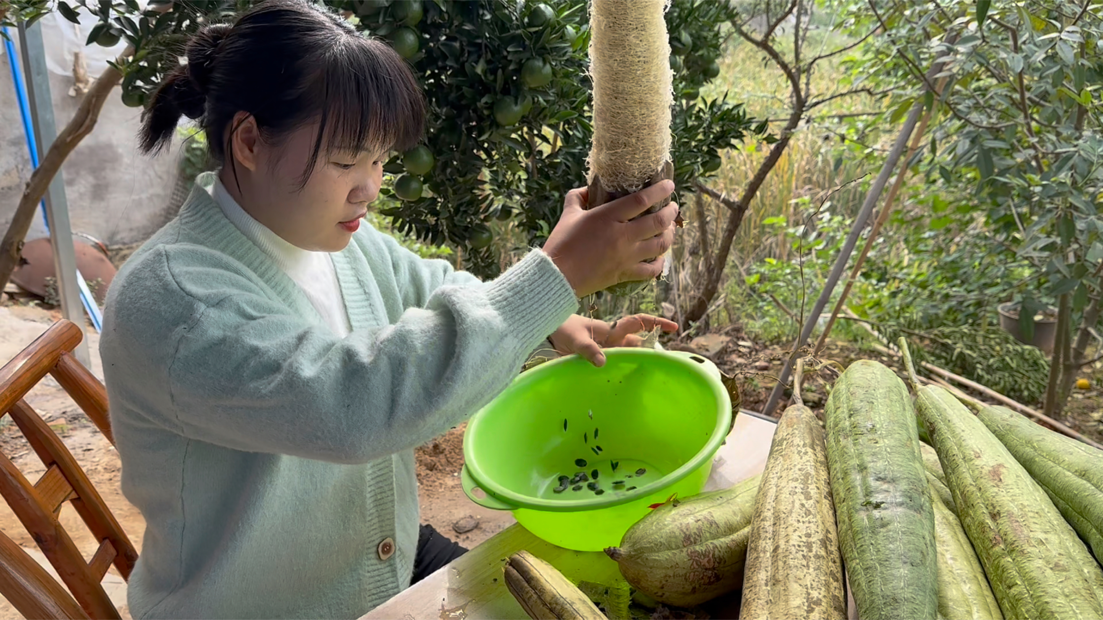 丝瓜老了不要扔了,拿来做一蒸笼垫,透气又好洗