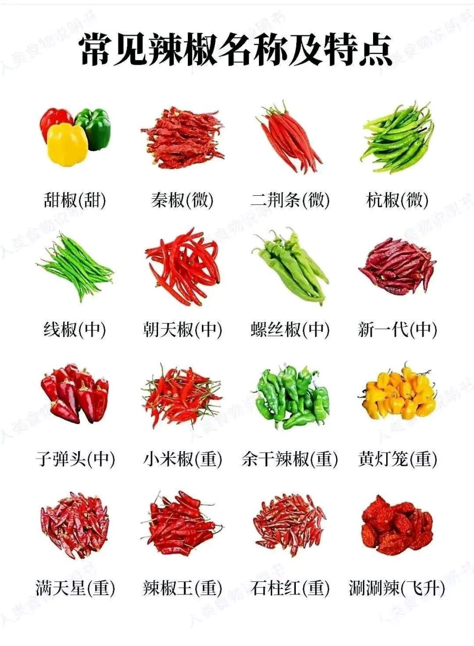 16种常见辣椒名称及特点一览,据说涮涮辣是中国最辣的辣椒,这种辣椒产