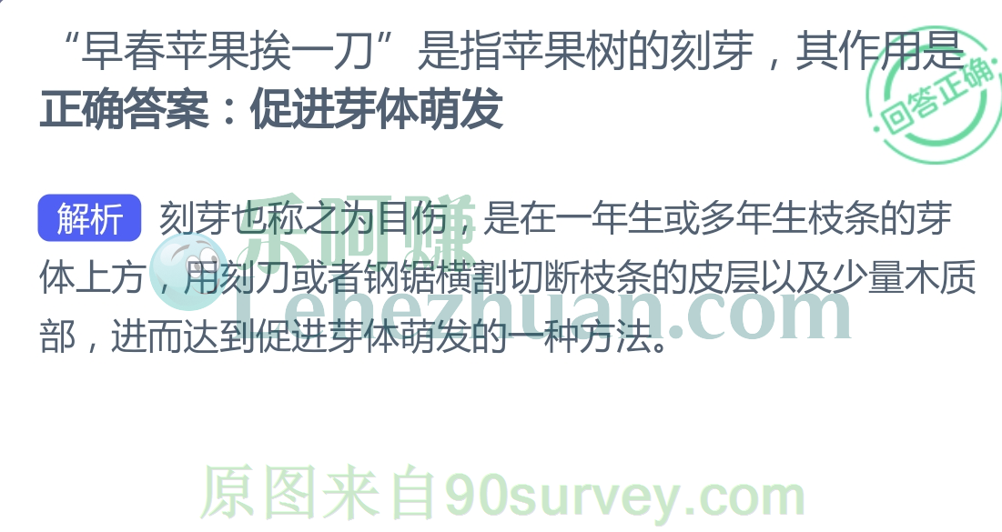 早春苹果挨一刀其作用是促进芽体萌发