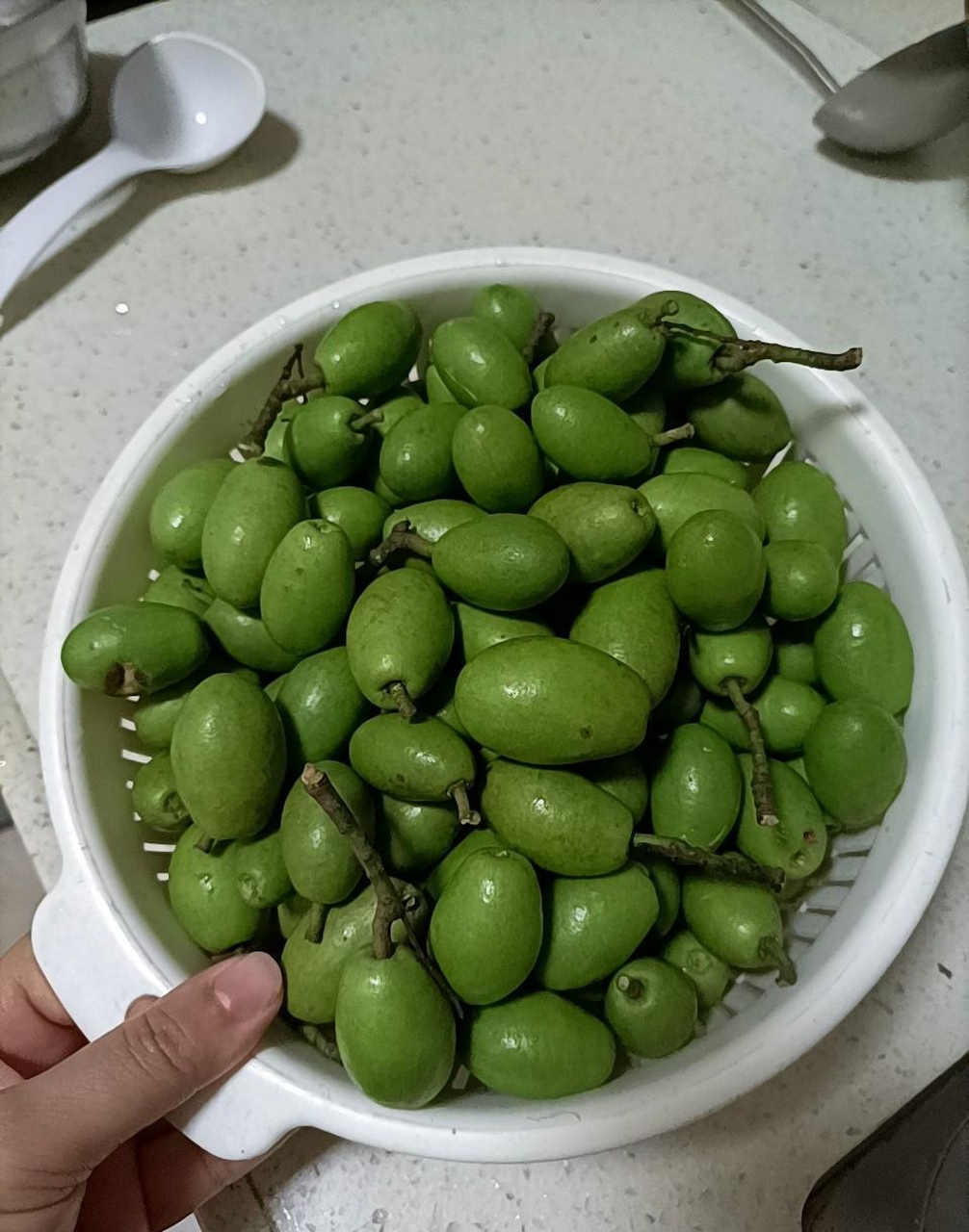 这种叫泰国橄榄,跟普通橄榄不一样,生吃味道又酸又涩,很难吃的.
