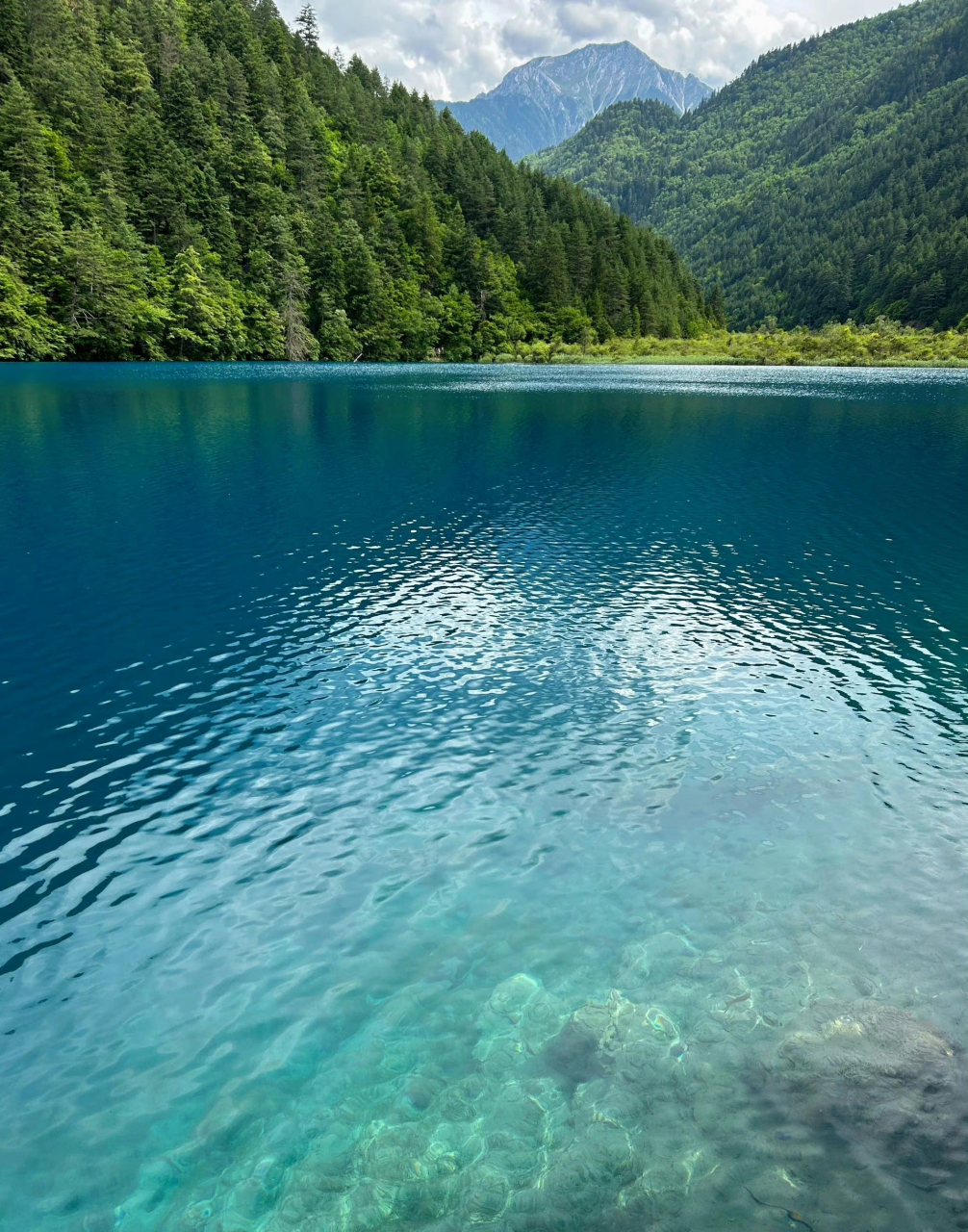 夏天的九寨沟图片图片