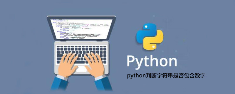 python检查字符串是否包含数字