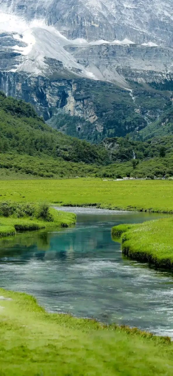 壁纸# #风景# 绿野仙踪