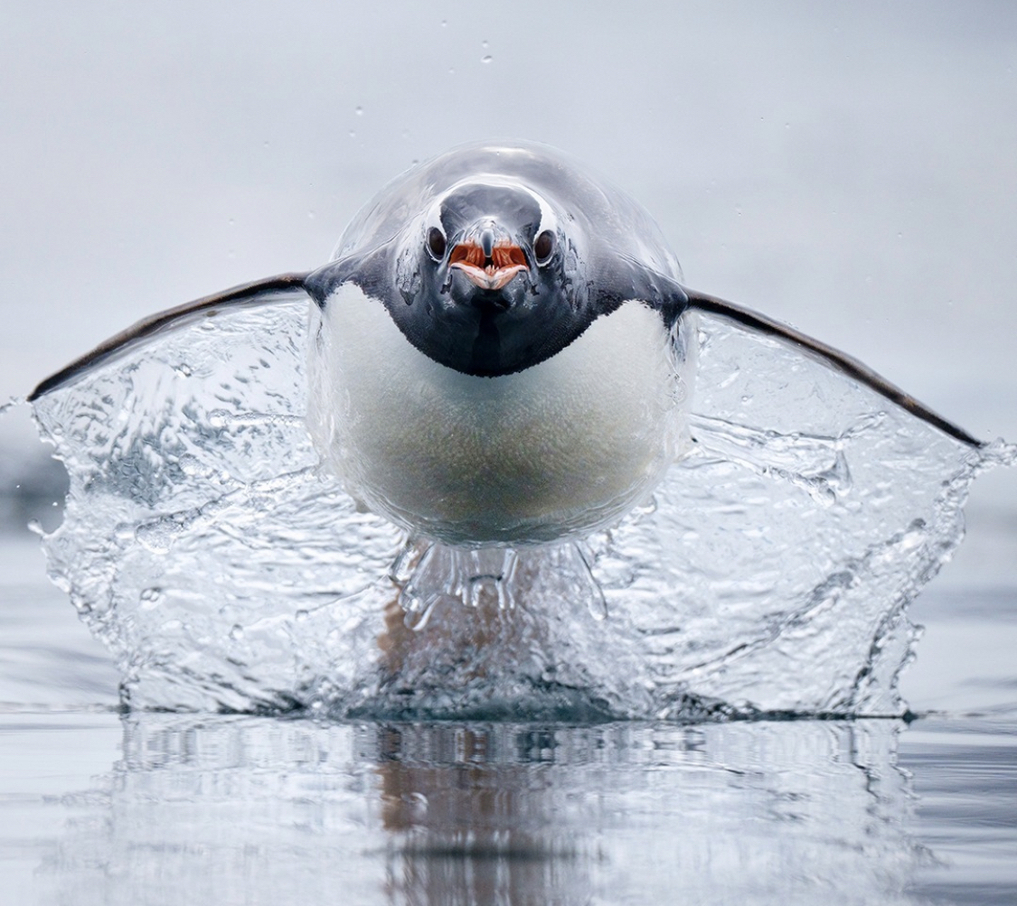 今年海洋主题摄影比赛的参赛作品[微笑] 一直感慨大海的神秘与壮丽