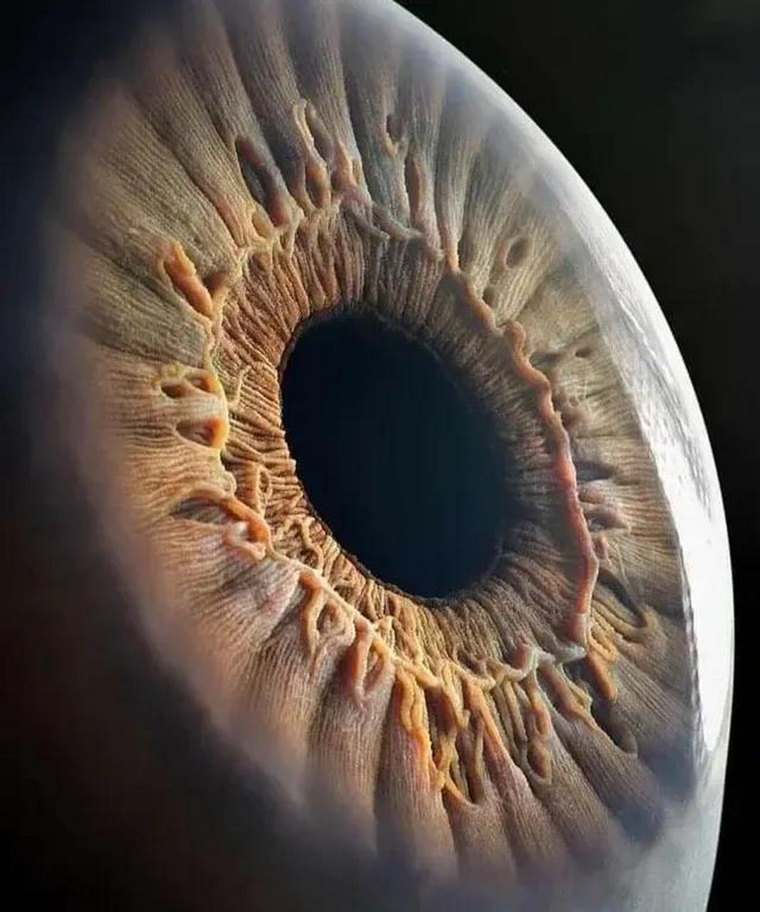 人类眼球瞳孔放大特写,感觉人类的眼睛就是宇宙.