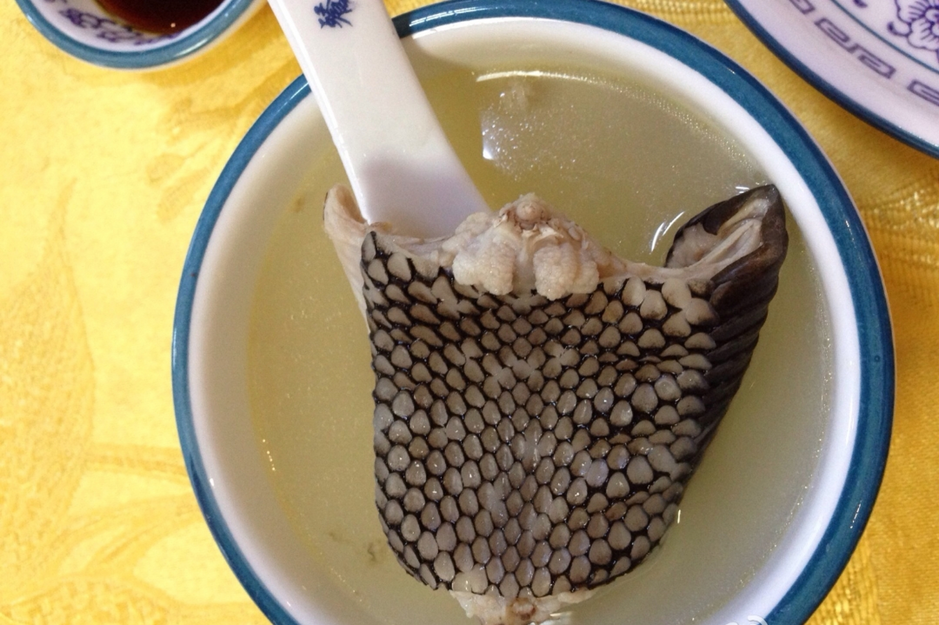 有网友说,十几年前,当时还能找到一些零星的野味店,要吃过山峰蛇是