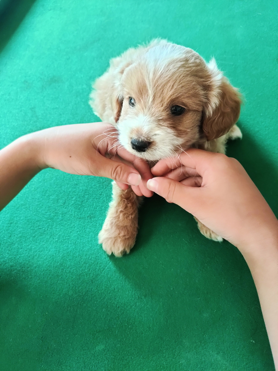 作家马亚伟在《低温中年》里说:  人到中年,应该是低温状态的.