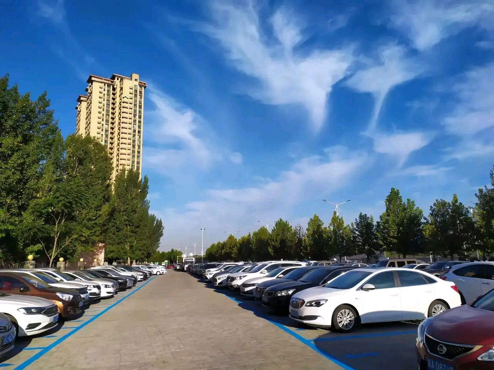 石家庄高新区停车要收费了?