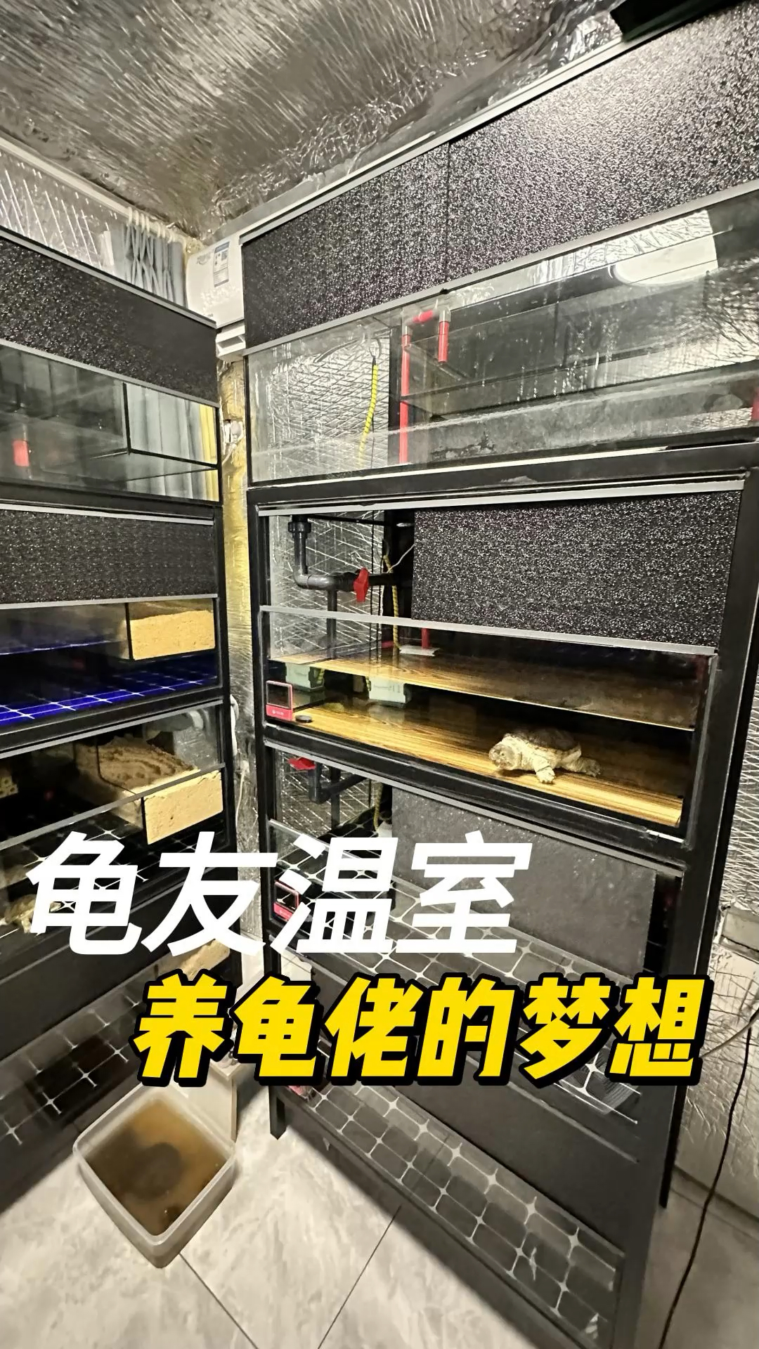 乌龟窝怎么布置养龟图片