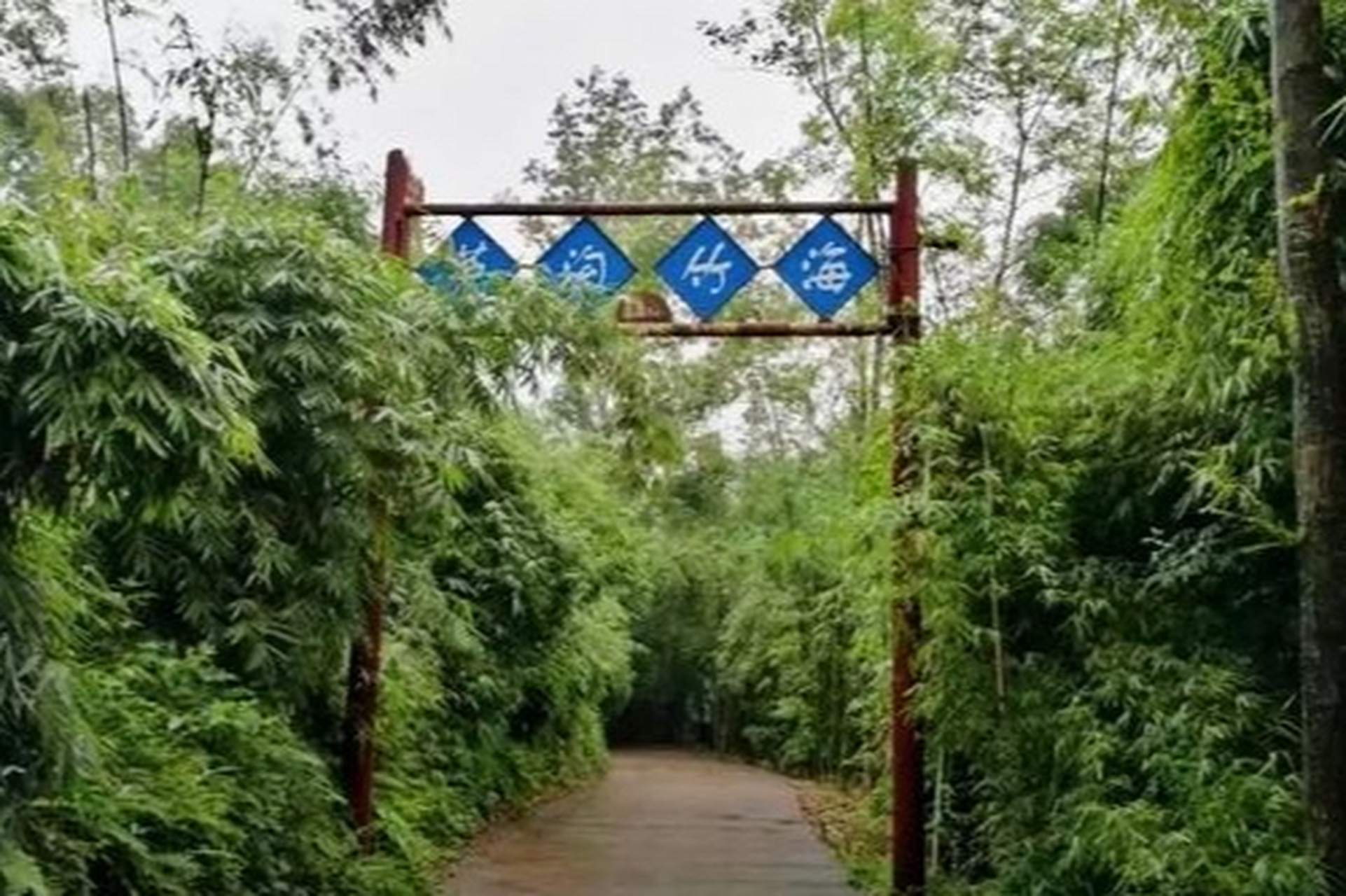 成都市区最近的竹海宝藏