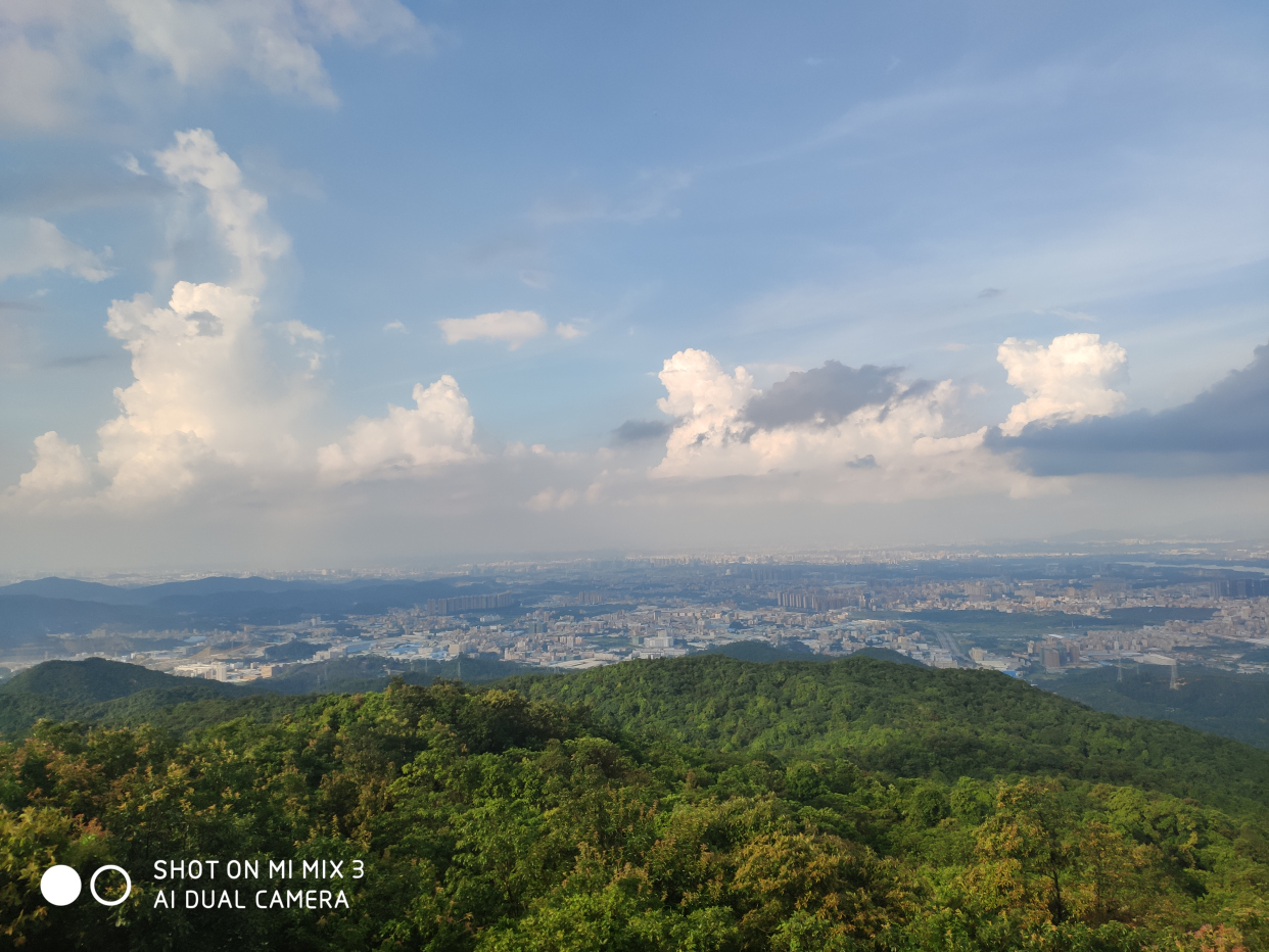 大岭山森林公园茶山顶图片