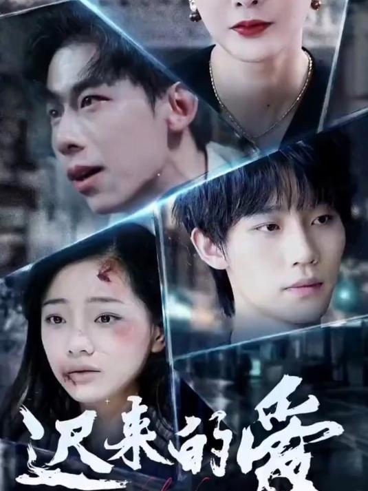 《迟到的爱》完整版