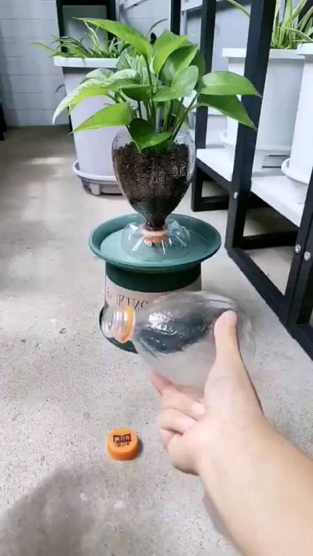 你知道矿泉水瓶怎么才能做出花瓶吗?看完你就会了
