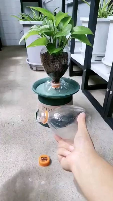你知道矿泉水瓶怎么才能做出花瓶吗?看完你就会了-度小视