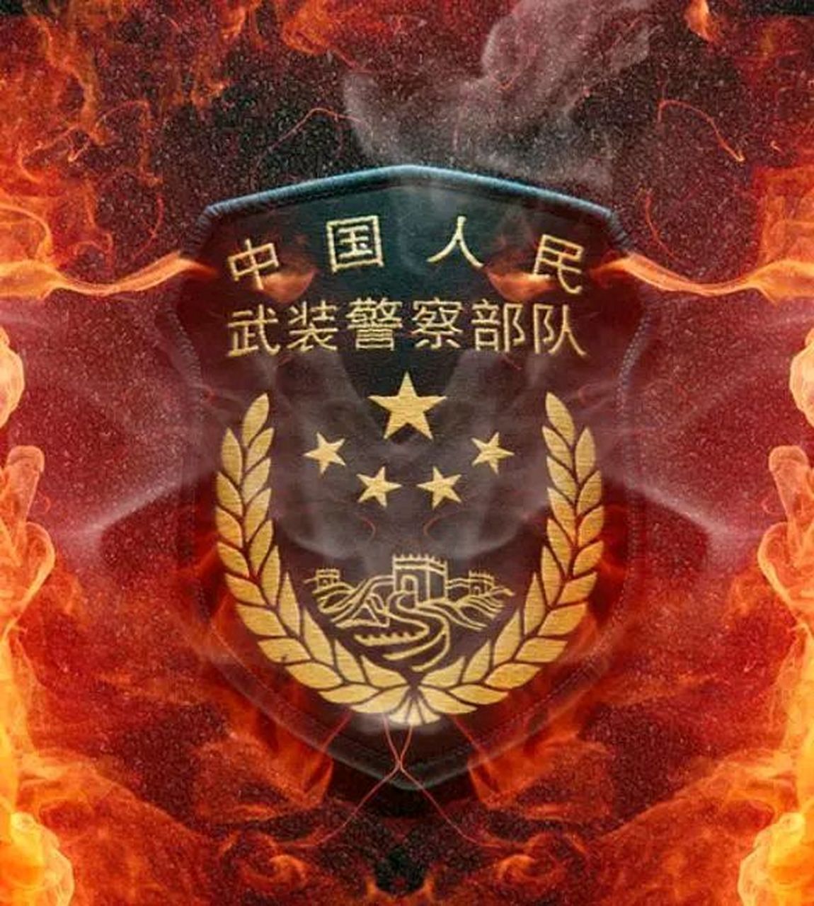 武警八大警种简介图片