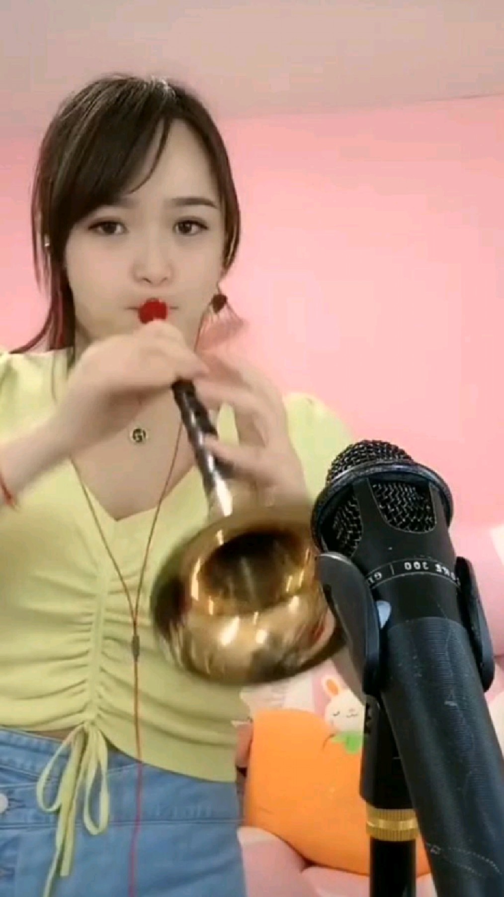 唢呐独奏经典曲目《上海滩》-度小视