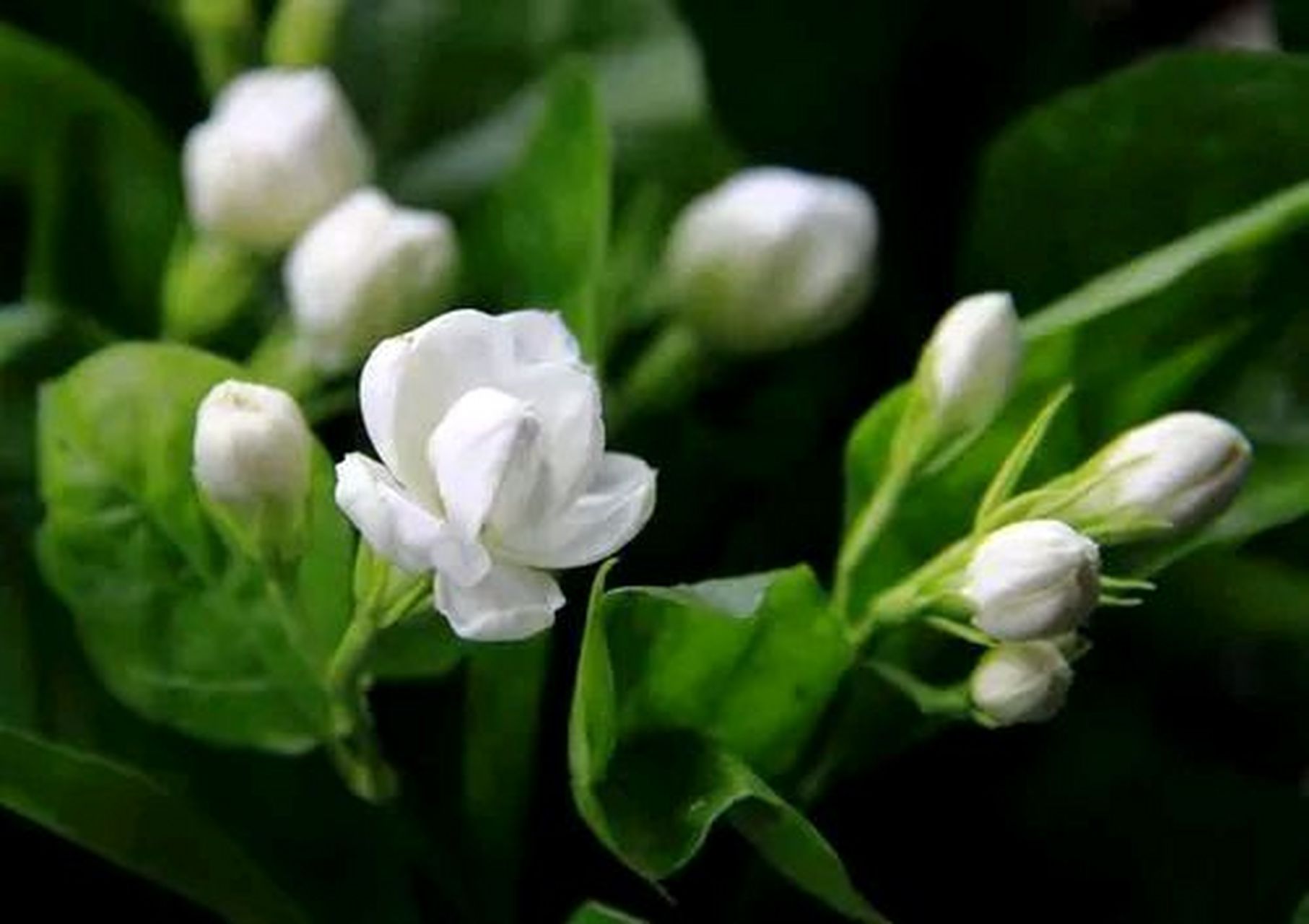 都说女人不愁嫁,我一个快四十的大龄剩女,最近有