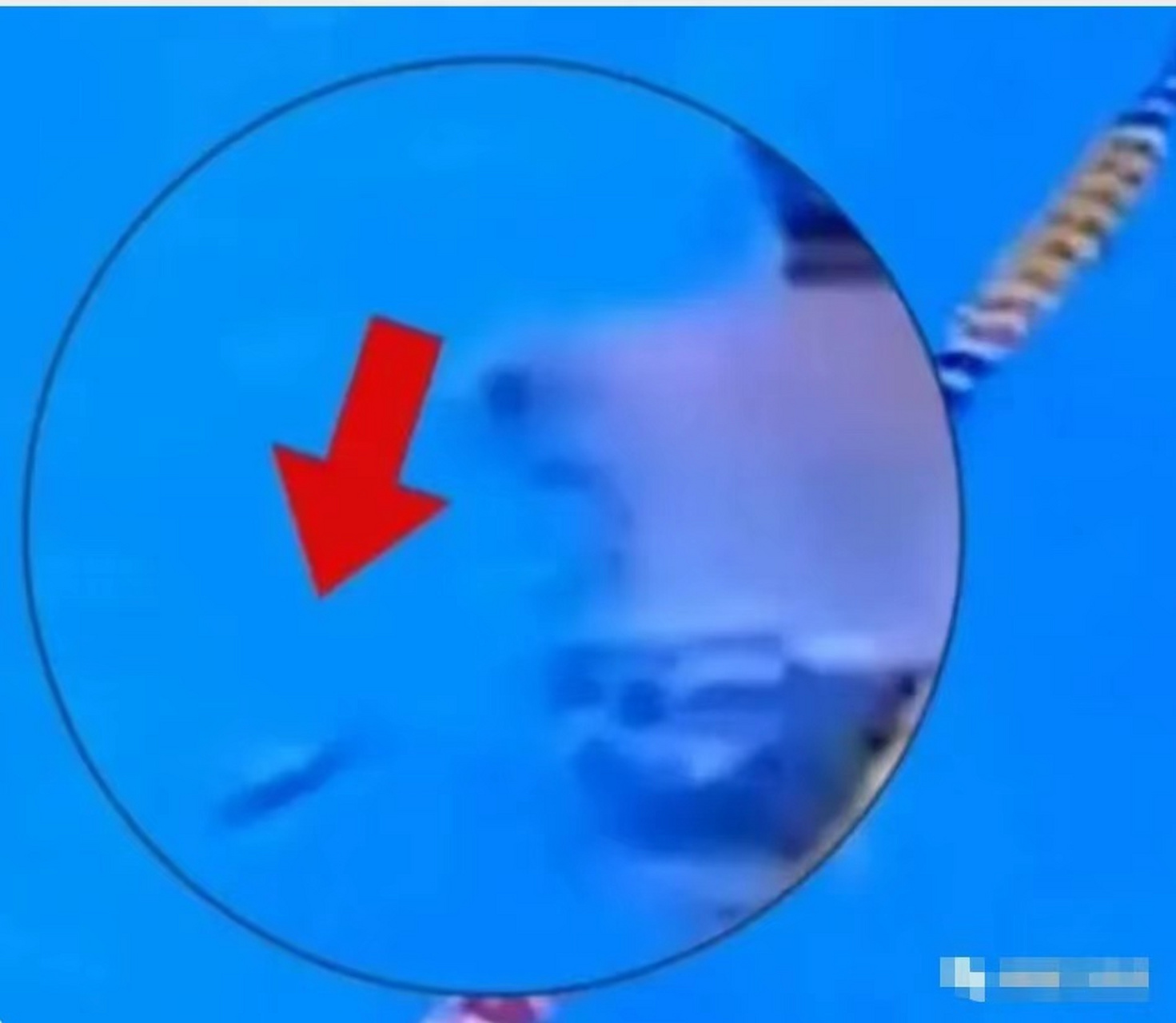 7月23日,广州,一段男子疑似在泳池内大便的视频引发热议,游泳馆发现