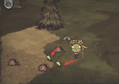 饥荒座狼怎么养?