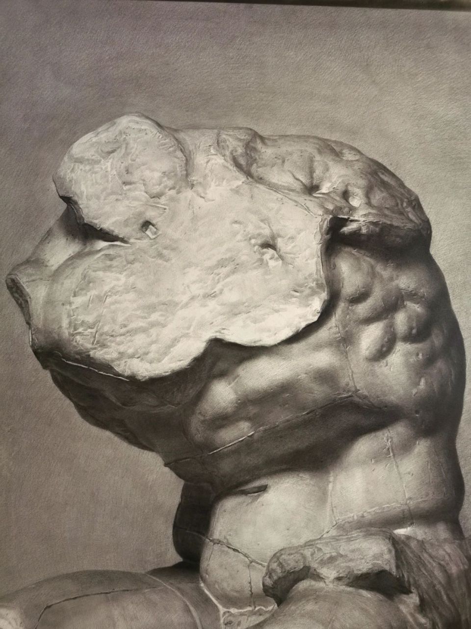 贝维德雷躯干石膏素描,作者用60小时不到时间,全开纸张,铅笔画的.