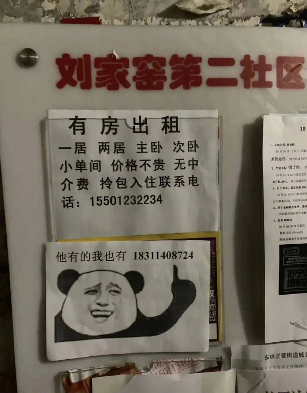 那些搞笑的广告语,请问迷糊桃吃了以后会迷糊吗