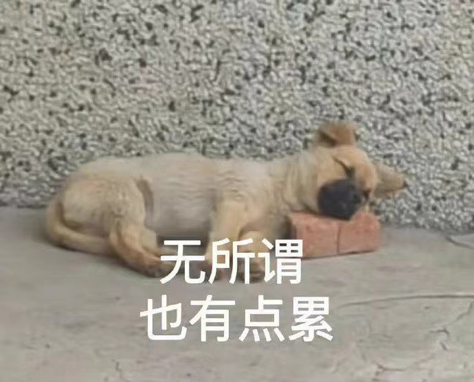 无所谓,也有点累