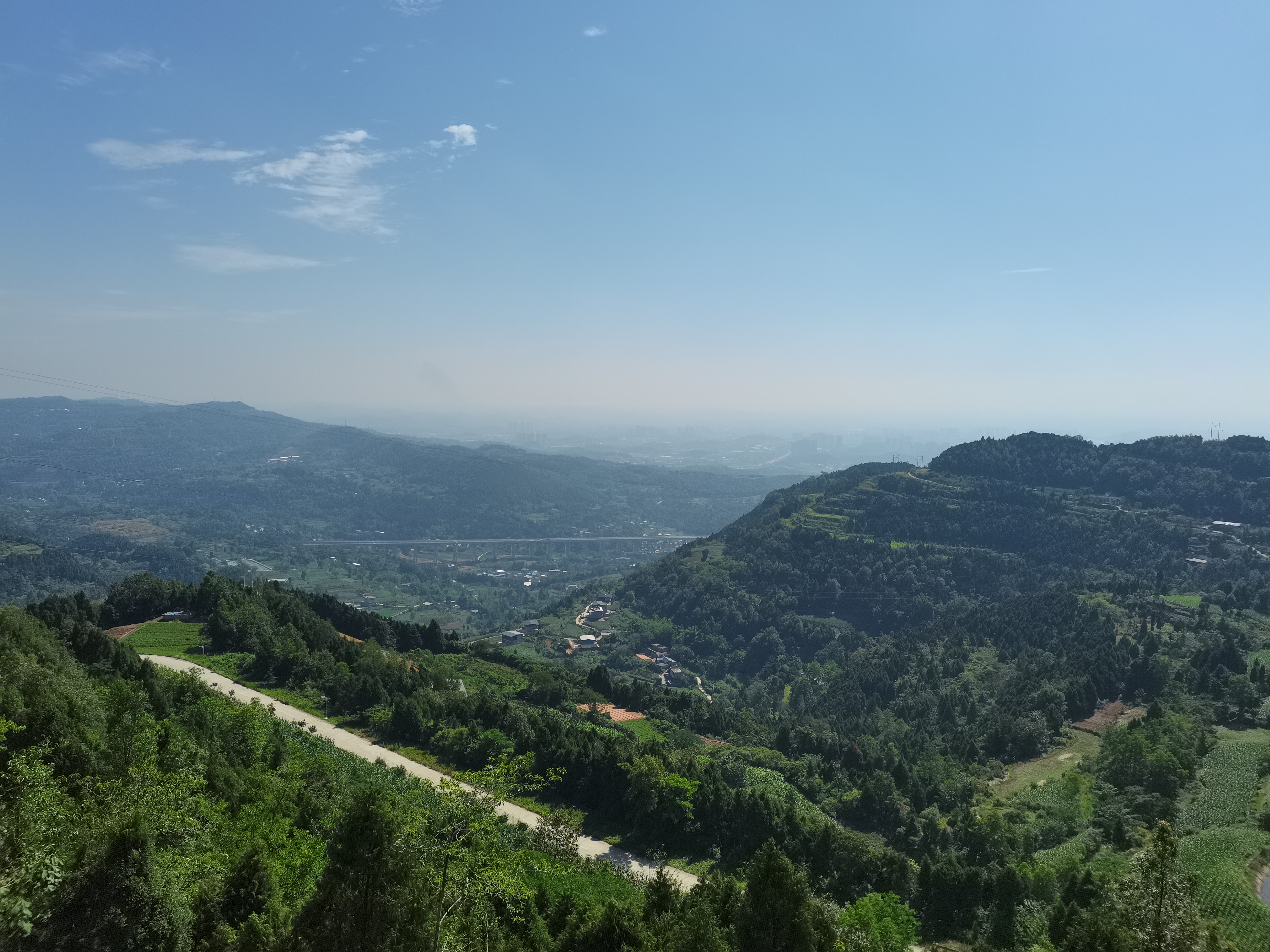 中江芍药谷风景区电话图片