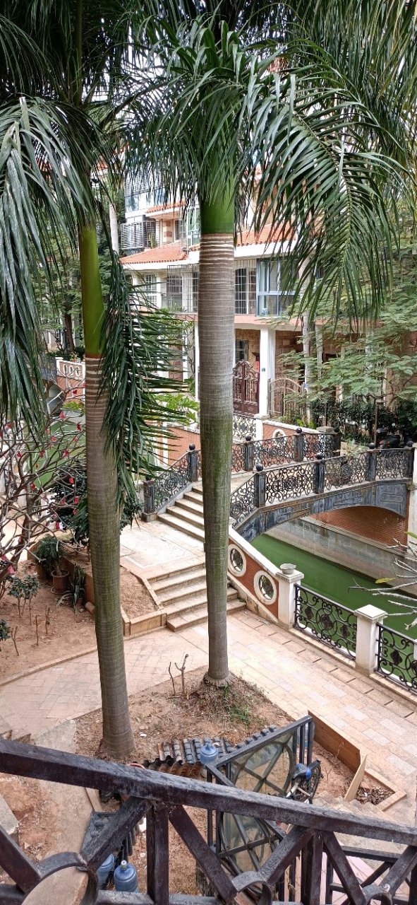 【被遗忘的别墅区 就在集美同安交界】 早上老蔡去星海湾别墅那边拜访