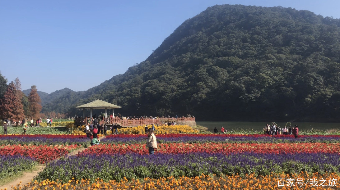 廣州石門國家森林公園,石灶風景區,天池花海