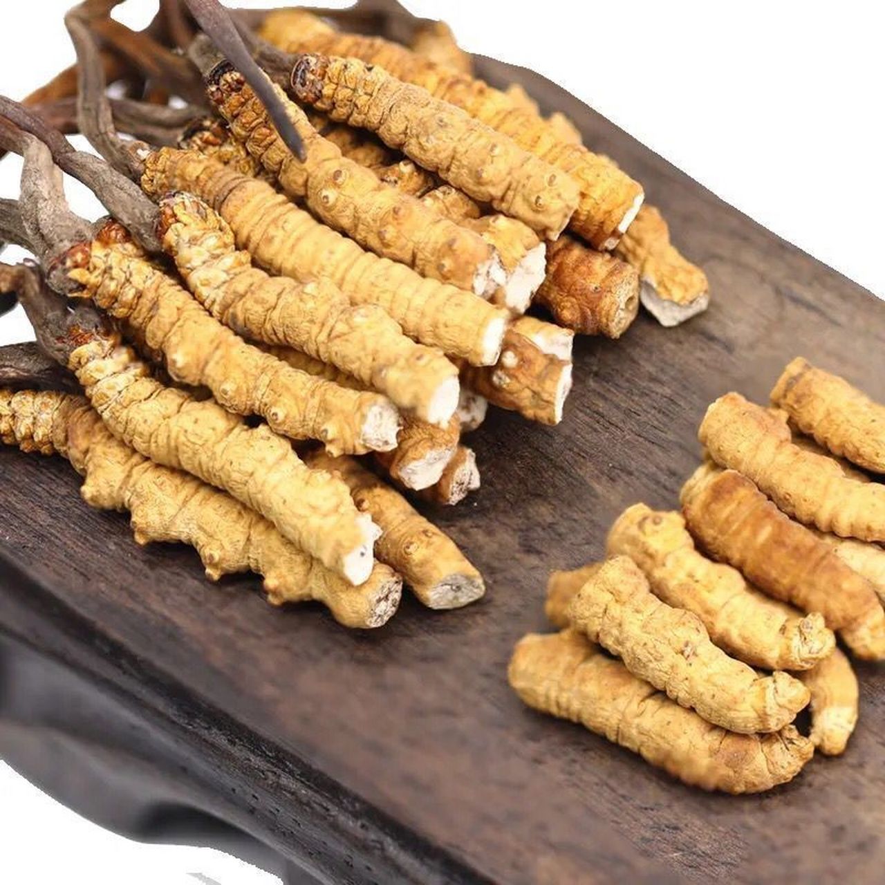 正宗冬虫夏草  断草#金秋健康过# #冬虫夏草# #健康养生