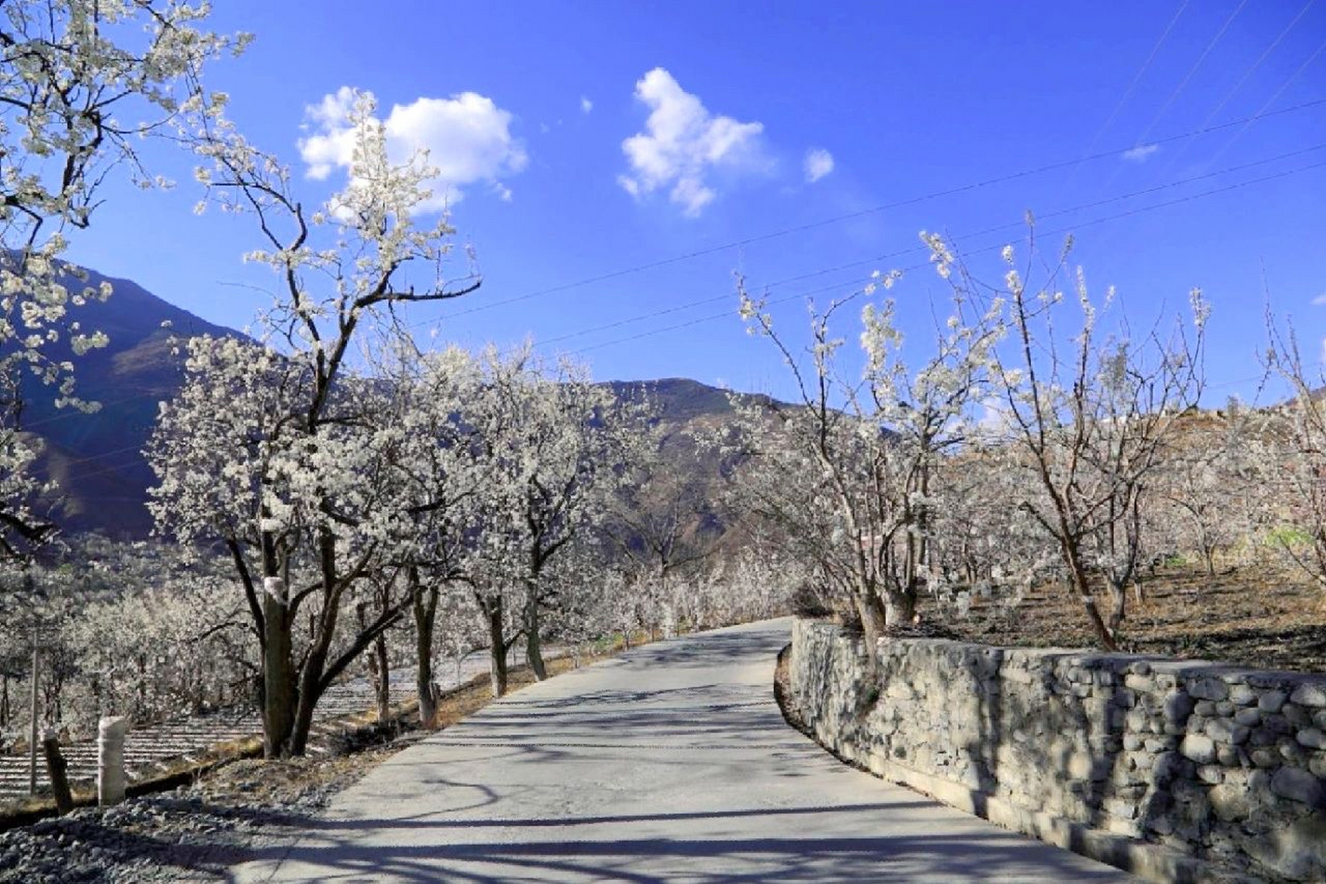 金堂梨花沟风景区电话图片