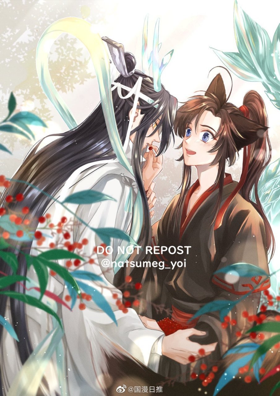 魔道祖師##魔道祖師忘羨# 龍嘰狐羨