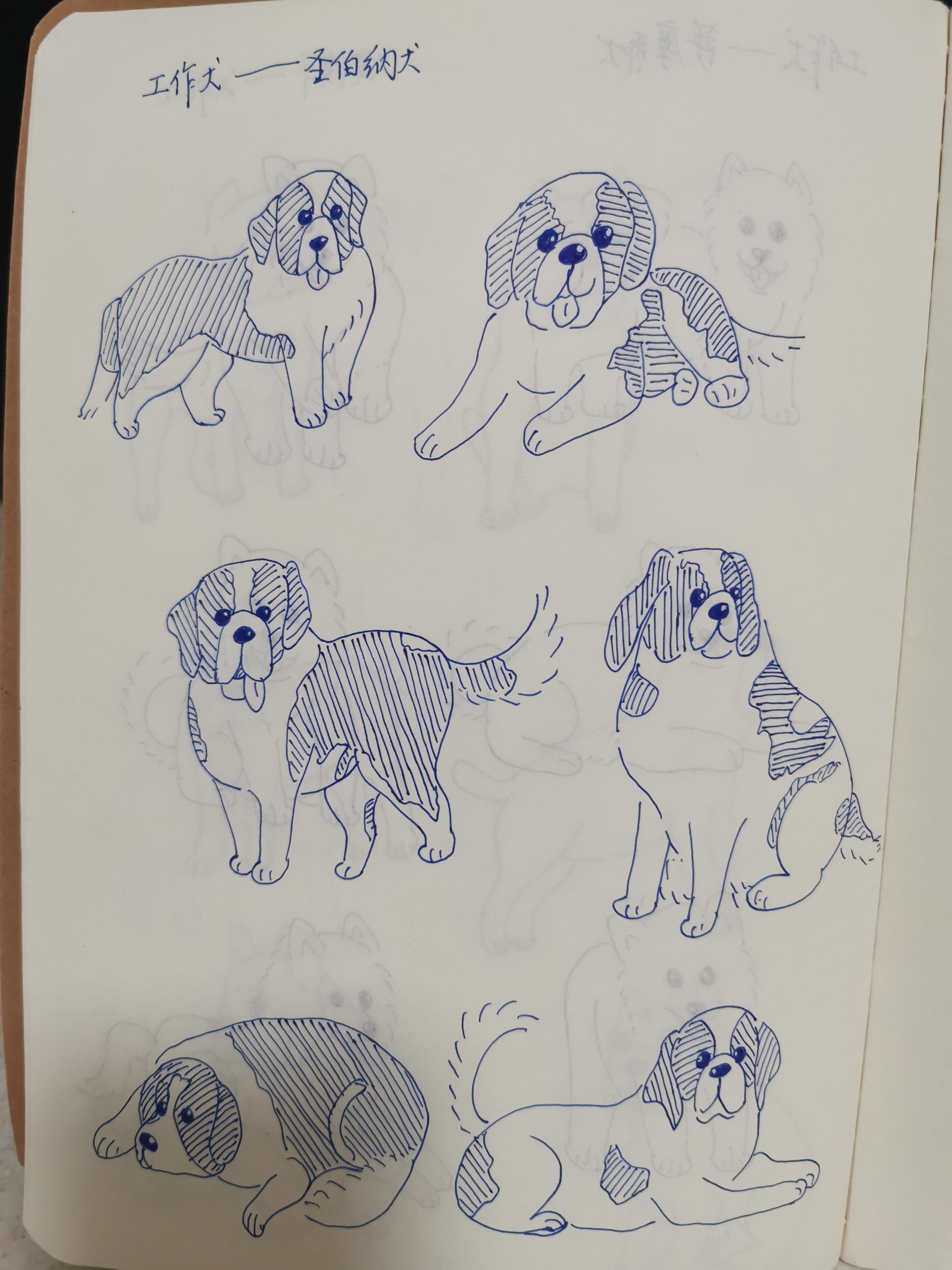 圣伯纳犬最初由瑞士阿尔卑斯山区圣伯纳修道院的僧侣用獒犬类杂蕉而