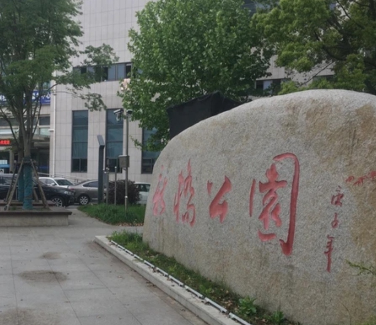 上海松江新桥公园好比山水画