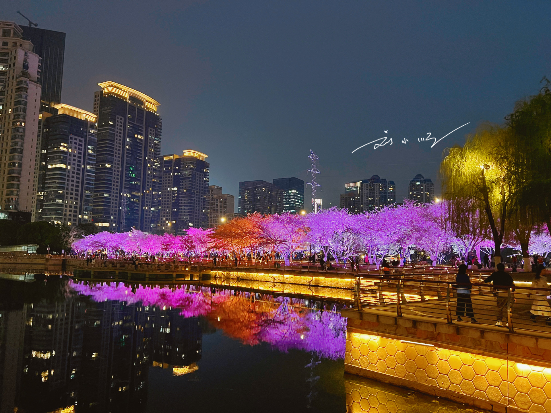 武汉市江汉区这个富人区,有一片绝美夜樱,已成为网红打卡点