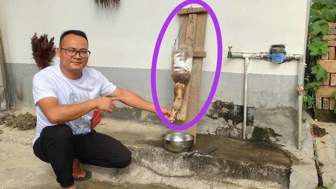 农村小伙自创“杀鸭神器”,一块木板一个油桶,看看是怎么制作