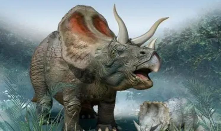 三角龙主要以什么为食物