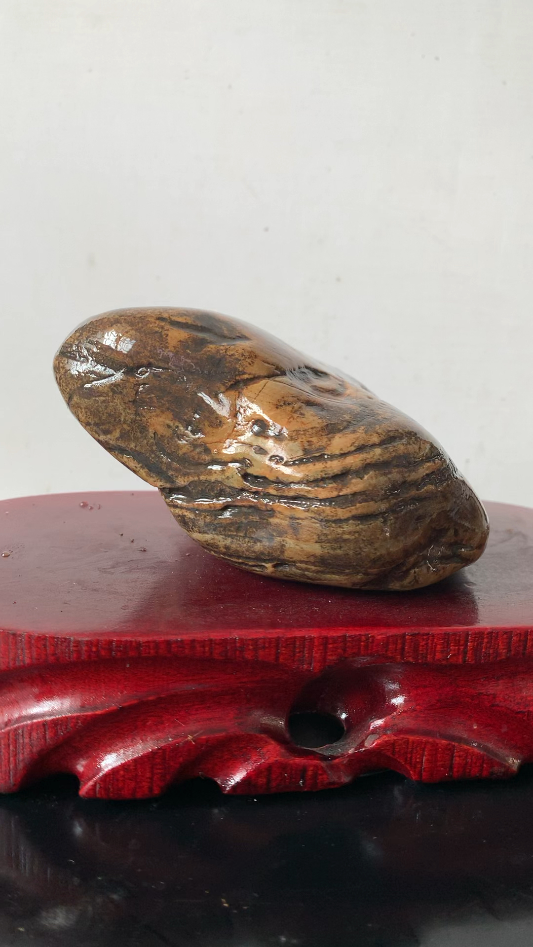 福建九龙璧象形石蛇头