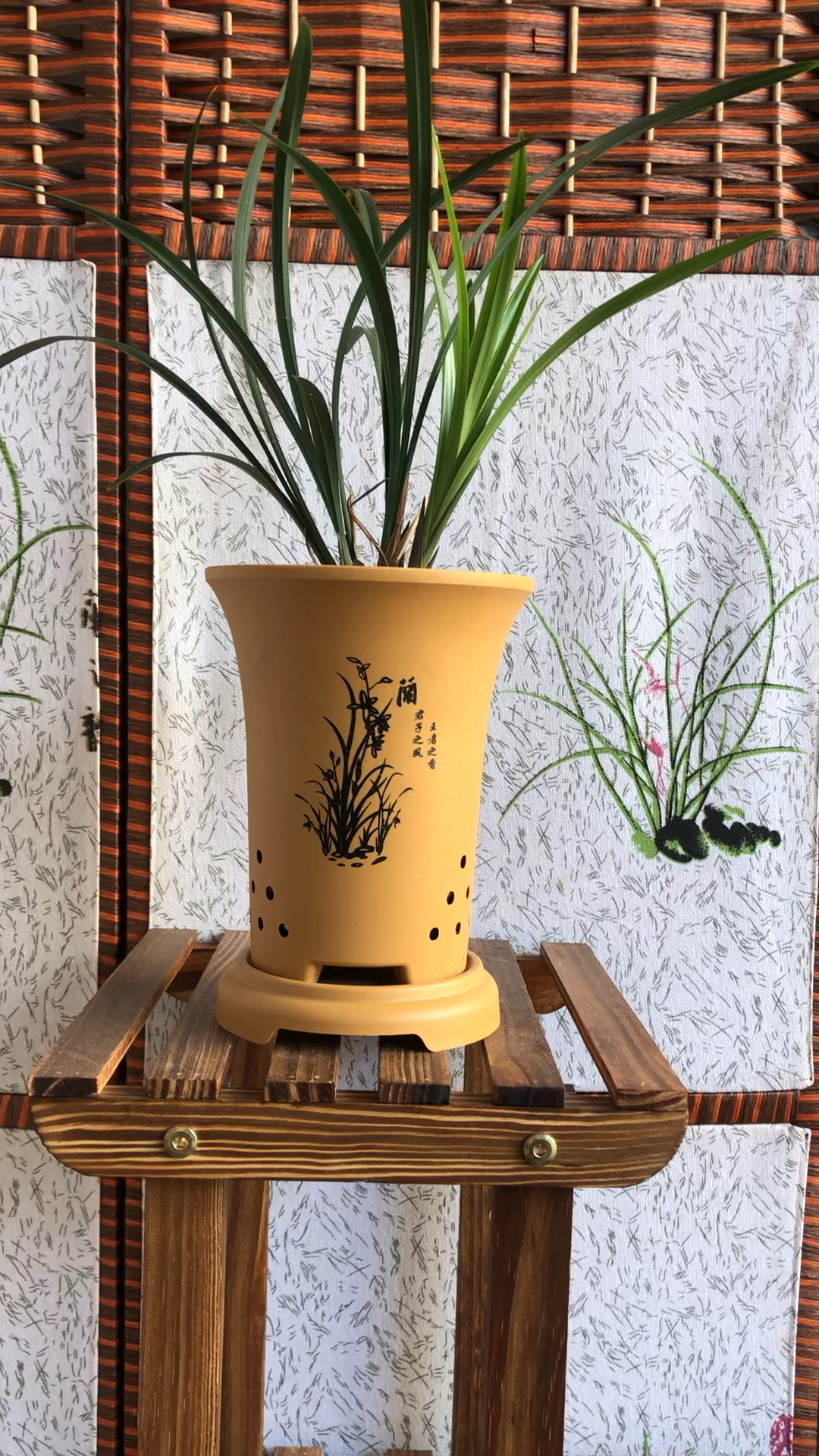 兰花专用盆塑料仿紫砂塑料盆透气透水性好轻便耐摔