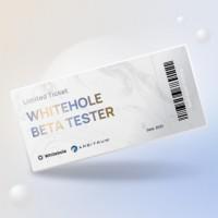 WhiteholeFinance-GRV