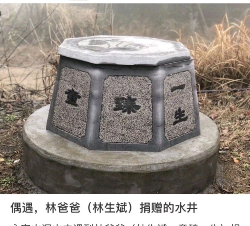 林生斌捐的那口井网友说有玄机,寺庙方来辟谣,安居士的话可信吗