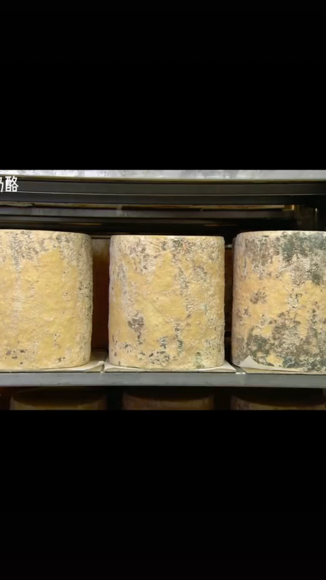 蓝纹奶酪制作过程图片