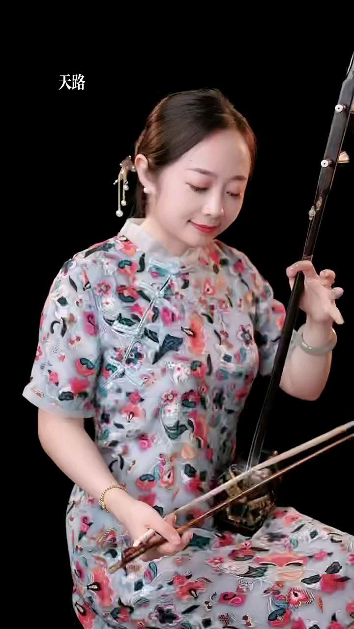 二胡演奏《天路》