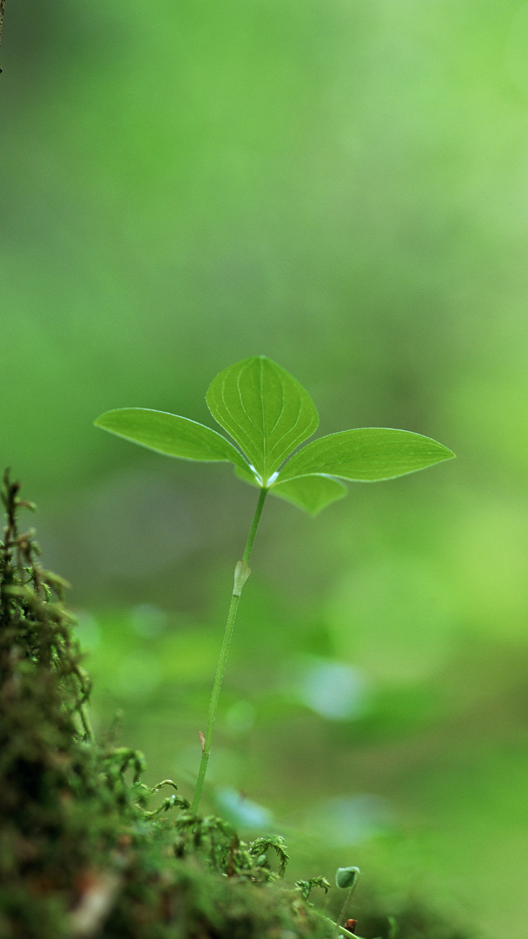 1080_1920竖版 竖屏