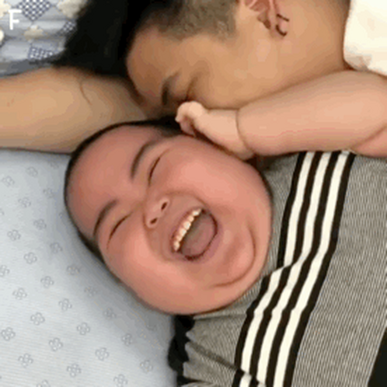搞笑# 小胖的最新表情包来啦!