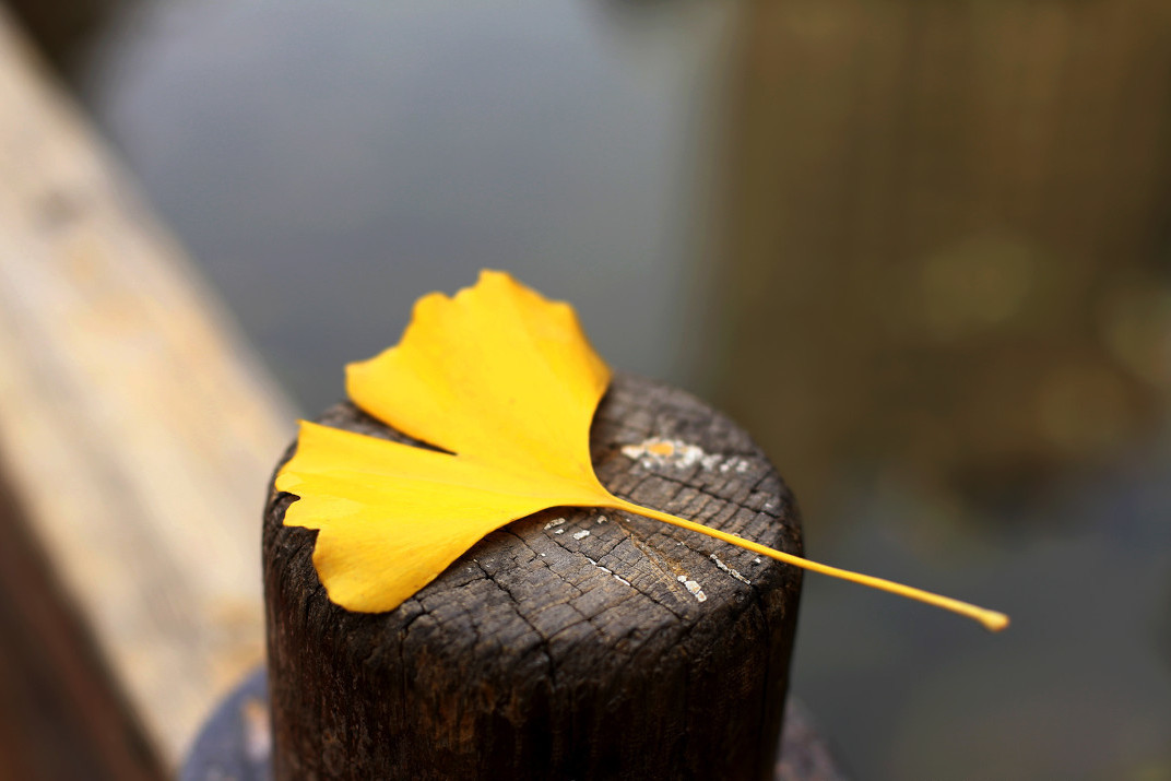 师父开示:如果亡者不信佛,请念佛团助念还能往生吗?